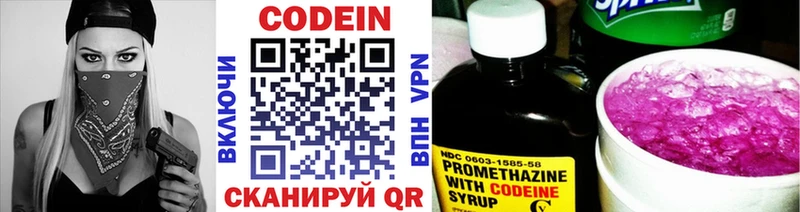 Кодеиновый сироп Lean напиток Lean (лин)  где купить наркоту  Карасук 