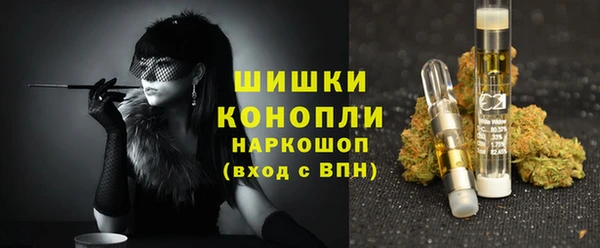 шишки Нея