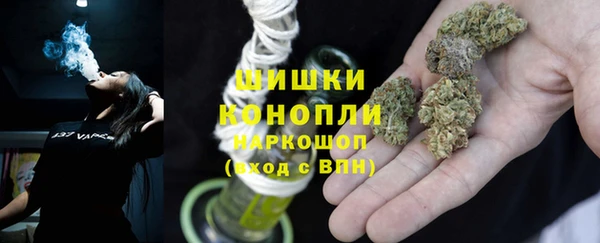 твердый Бикин