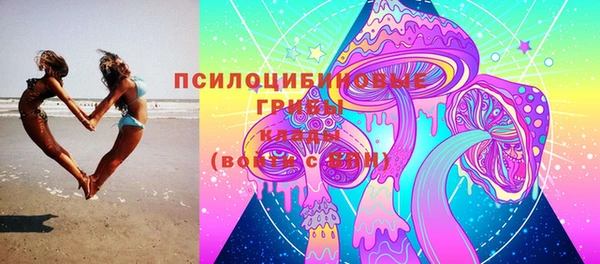 шишки Нея