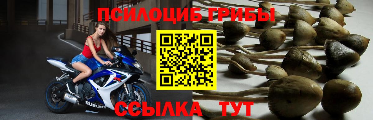 Галлюциногенные грибы прущие грибы  Вход с VPN  Карасук  Псилоцибиновые грибы Magic Shrooms 